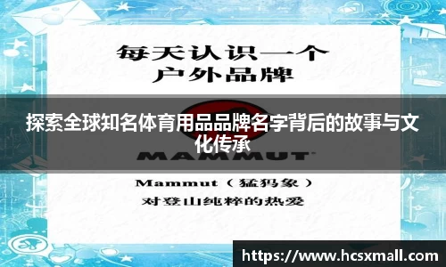 bevictor官网
